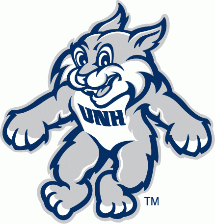 New Hampshire Wildcats 2003-Pres Alternate Logo diy fabric transfer